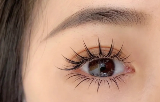 Korean High Quality 0.07mm Spiky Anime Lashes Eyelash Extensions Professional J JC C CC LJ LB LC D Curls Loose Base Camellia Lash Upper Top Lash Black and Brown