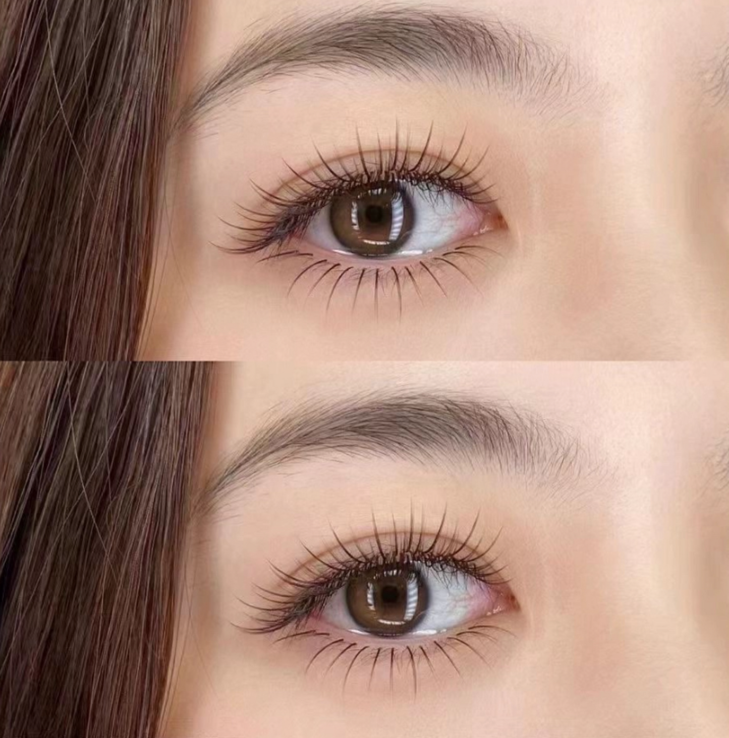 Korean High Quality 0.07mm Spiky Anime Lashes Eyelash Extensions Professional J JC C CC LJ LB LC D Curls Loose Base Camellia Lash Upper Top Lash Black and Brown