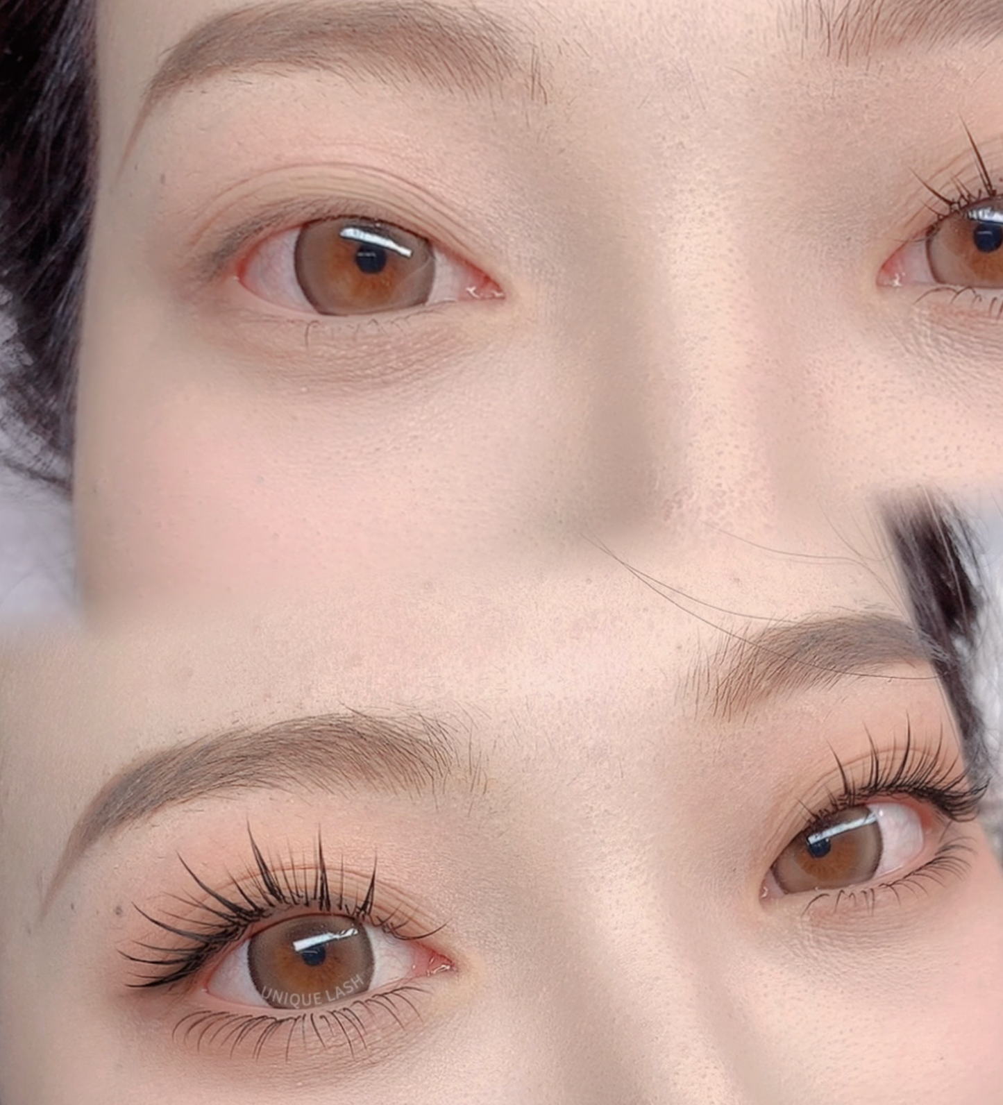 Korean High Quality 0.07mm Spiky Anime Lashes Eyelash Extensions Professional J JC C CC LJ LB LC D Curls Loose Base Camellia Lash Upper Top Lash Black and Brown