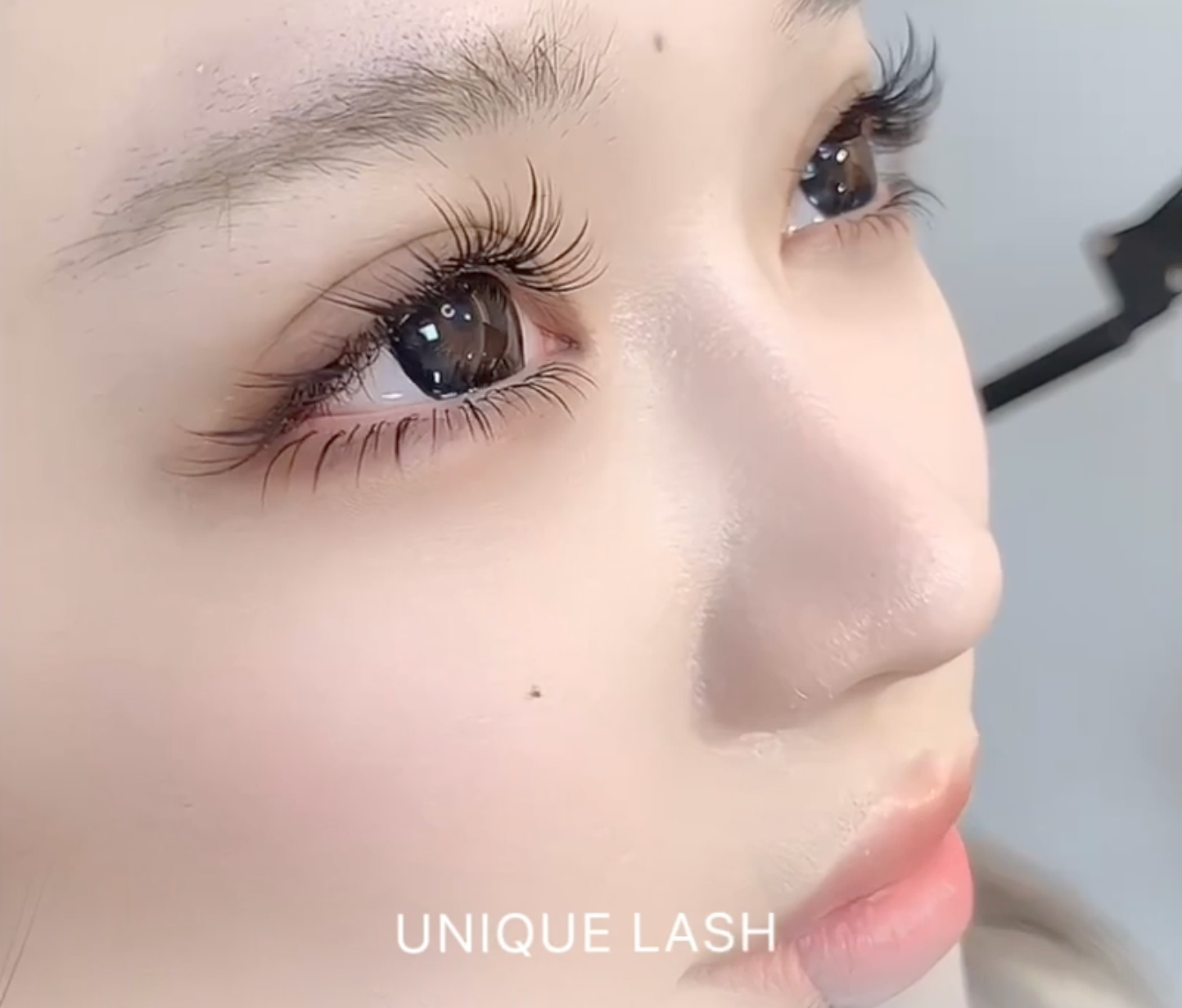 Korean High Quality 0.07mm Spiky Anime Lashes Eyelash Extensions Professional J JC C CC LJ LB LC D Curls Loose Base Camellia Lash Upper Top Lash Black and Brown