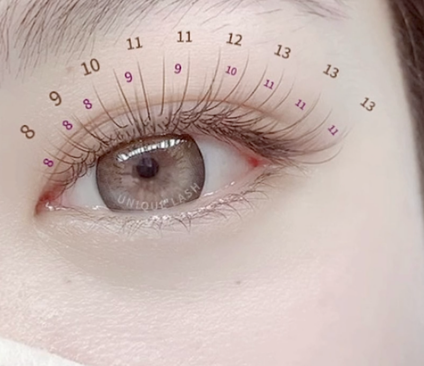 Korean High Quality 0.07mm Spiky Anime Lashes Eyelash Extensions Professional J JC C CC LJ LB LC D Curls Loose Base Camellia Lash Upper Top Lash Black and Brown